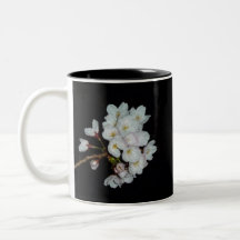 募金用 , Cherry blossoms , 桜 コーヒーマグカップ
