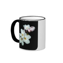 募金用 , Cherry blossoms , 桜 マグカップ