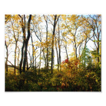 0001 PHOTO PRINT