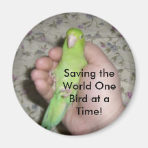 024, Saving the World One Animal at a Time! Refrigerator Magnet