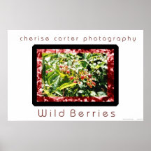 02V-1-AL-O Wild Berries Poster