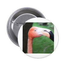 060 Flamingo Fill Pinback Button