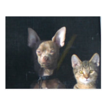 068Well Postcards