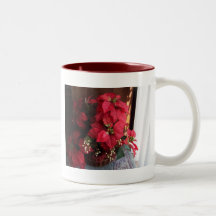 100_0565 MUGS