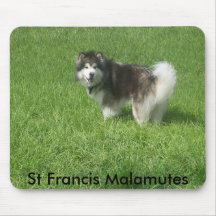 100_1785, St Francis Malamutes Mouse Pad