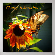 100_1974, Change is beautiful Poster