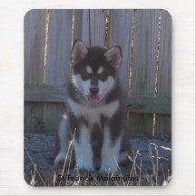 100_2932, St Francis Malamutes Mouse Pads