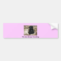 1192859hi6ws7hika, We Are Always Travelling Bumper Stickers