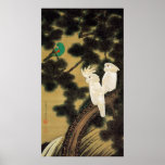 12. 老松鸚鵡図, 若冲 Pine-tree & Parrot, Jakuchū Posters