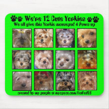 12 CUTE YORKIES -Mousepad Customised - 4 Paws up