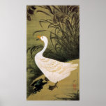 13. 芦鵞図, 若冲 Reed & Goose, Jakuchū, Japan Art Posters
