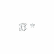 13* Freedom Embroidered Hoody