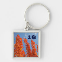 16 keychain Custom Orange Trees Blue Sky