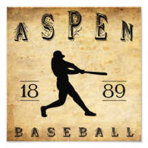 1889 Aspen Colorado Baseball Photo Print