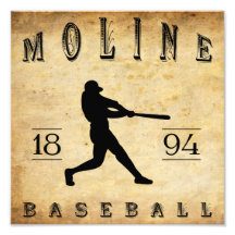 1894 Moline Illinois Baseball Photo Print