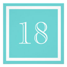 18th Birthday Party Invitation - Aqua