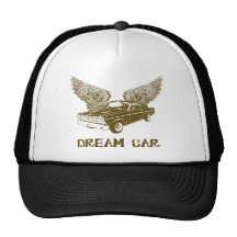1966 Ford Fairlane GT 427 Hat