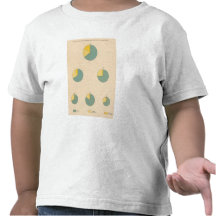 197 Cotton production, exports T Shirt