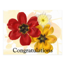 1 Congratulations Post Cards