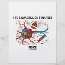 1 To 5 Quadrillion Synapses Inside (Neuron) Full Colour Flyer