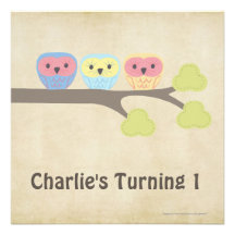 1st Birthday Party Retro Baby Owls Invitation