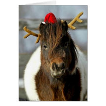 2005 OMRH Christmas Card Photo First Place Winner