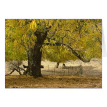2006 Oct 037 Card