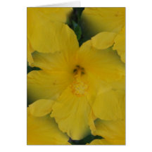 20090626_12 CARD
