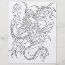 2009-9-dragon flyers