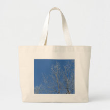 2009_Maine_Winter_17 Bag