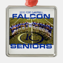 2010 Falcon Seniors Ornaments