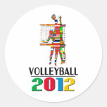 2012: Volleyball Sticker