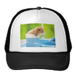 20_baby_animals (4) BABY BUNNY RABBIT blue greens Trucker Hat