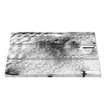 (20) "SAXAPHONE," Retouch Gallery Wrap Canvas