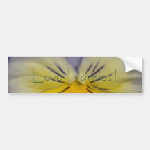 22 Pansy Blue Yellow Bumper Stickers
