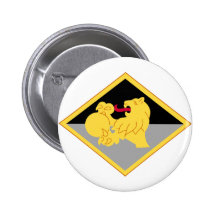 266th Finance Pin