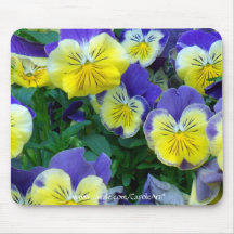 2 Blue Yellow Pansies Mouse Pads