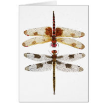 2 Dragonflies looking at each other Greeting Card