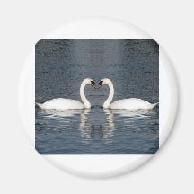2 Swans Magnets