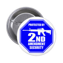 2nd Amendment 1 Pin