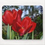 365Flowers Mousepads