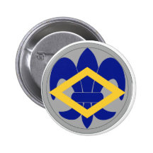 366th Finance Pin