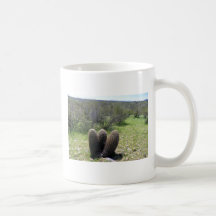 3 Barrel Cactus Mug