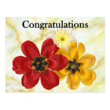 3 Congratulations Post Card