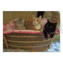 3 cuties cards