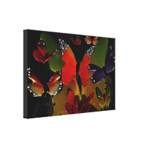 3D Butterflies flying together Gallery Wrapped Canvas