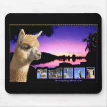 3W Ranch Mouse Pad