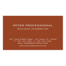 42 Modern Professional Business Card terracotta
