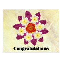4 Congratulations Postcards