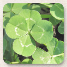 4 Leaf Clover Good Luck Charm Photo Coasters